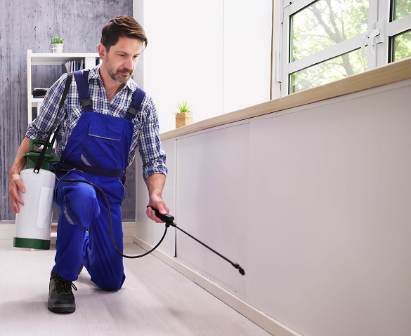 Pest Control in La Union, New Mexico | Greenway Pest