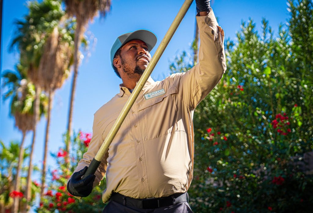 Tips for Preventing Pest Infestations