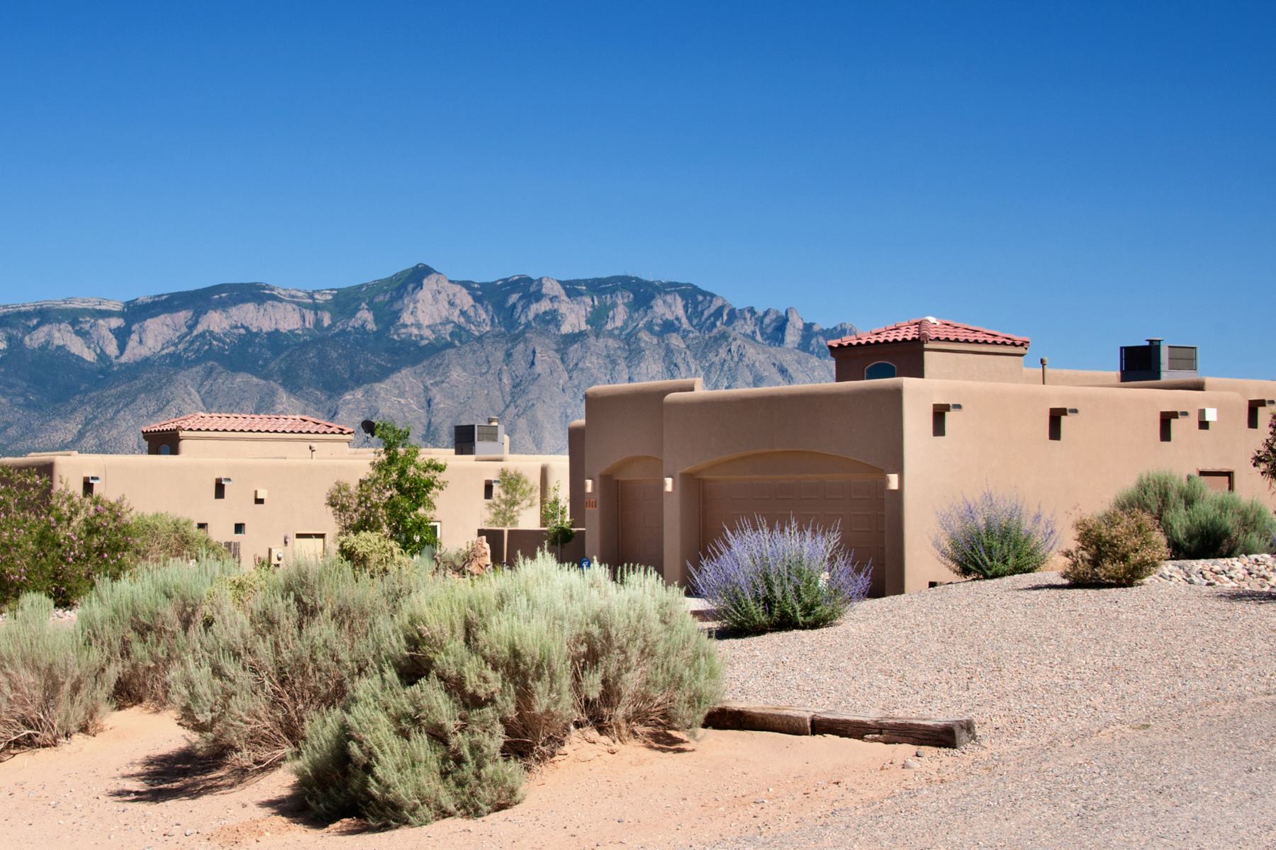 albuquerque-lawn