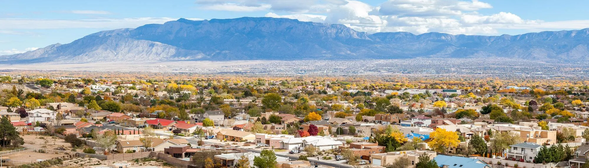 albuquerque-nm-pest-control.1713880484