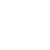 Ant Icon