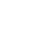 bug icon