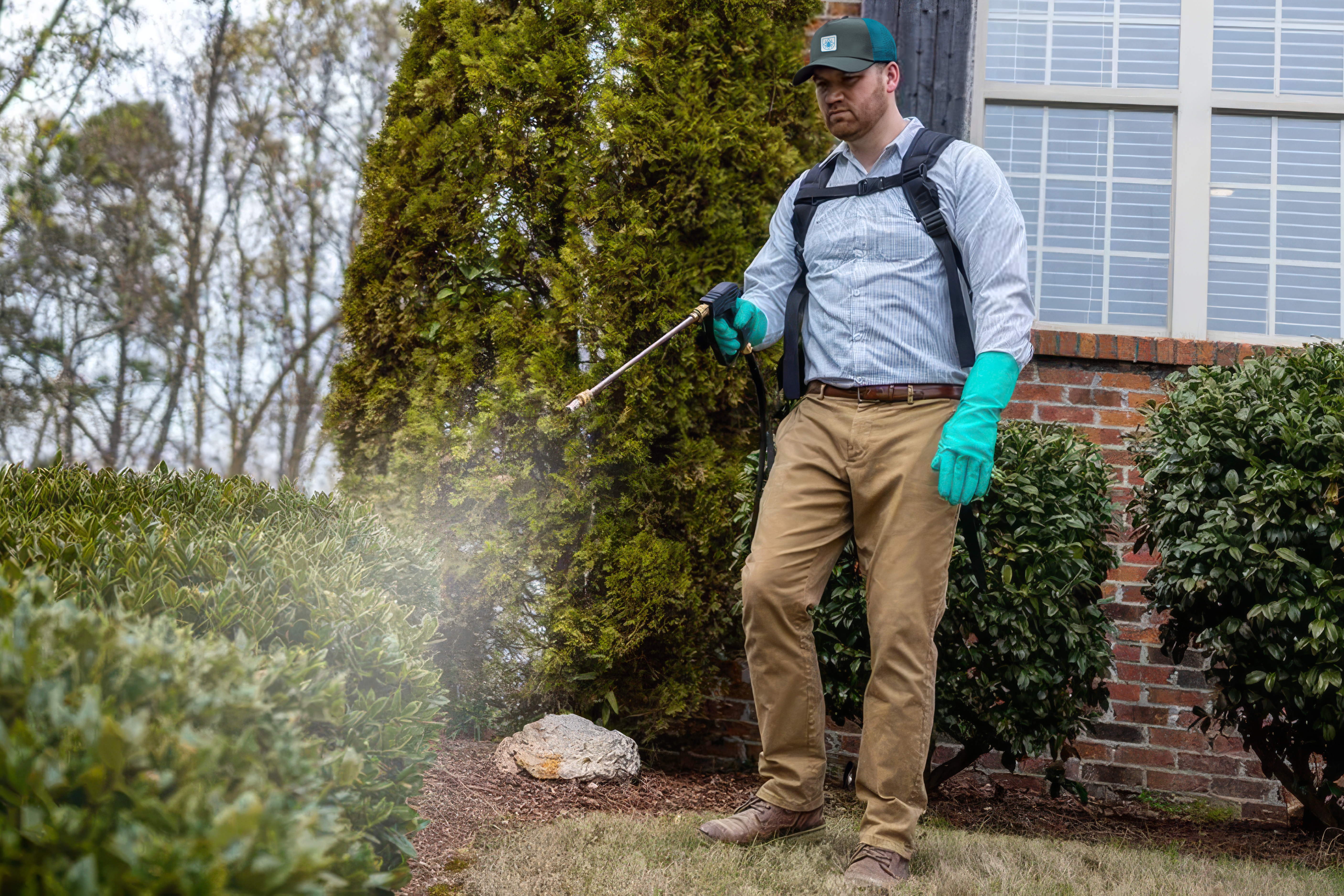 treating-hedges-and-yard-for-mosquitoes-2